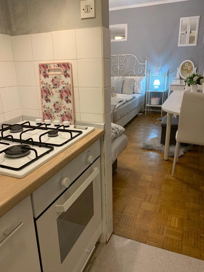 Apartment Lautus Марибор Экстерьер фото